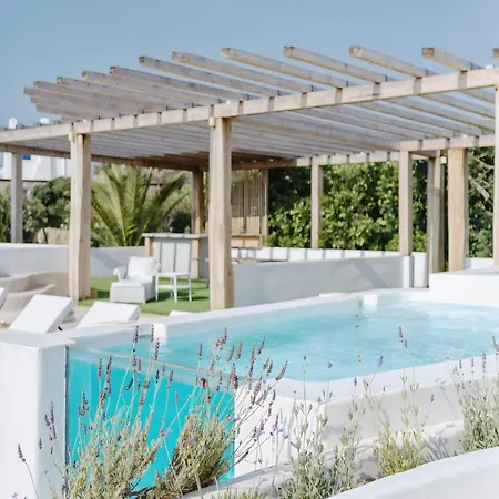 Alegria Mykonos 10 Kalafatis